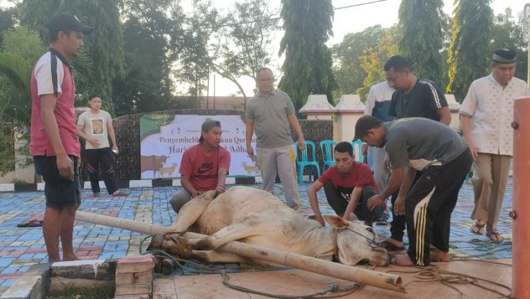 20250608 Penyembelihan Hewan Qurban 01