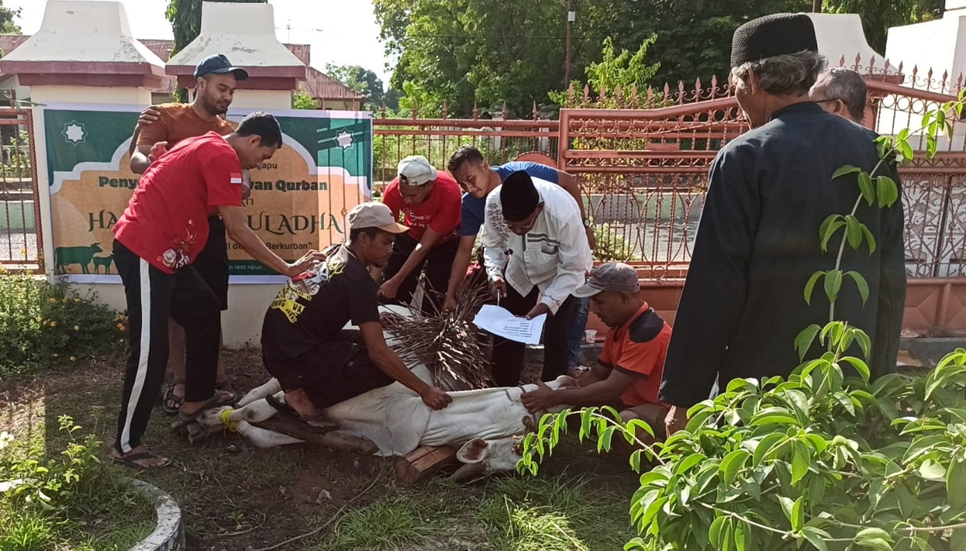 20240618 Penyembelihan Qurban 01