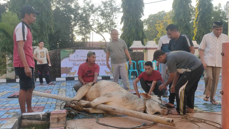 20250608 Penyembelihan Hewan Qurban 01